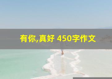 有你,真好 450字作文